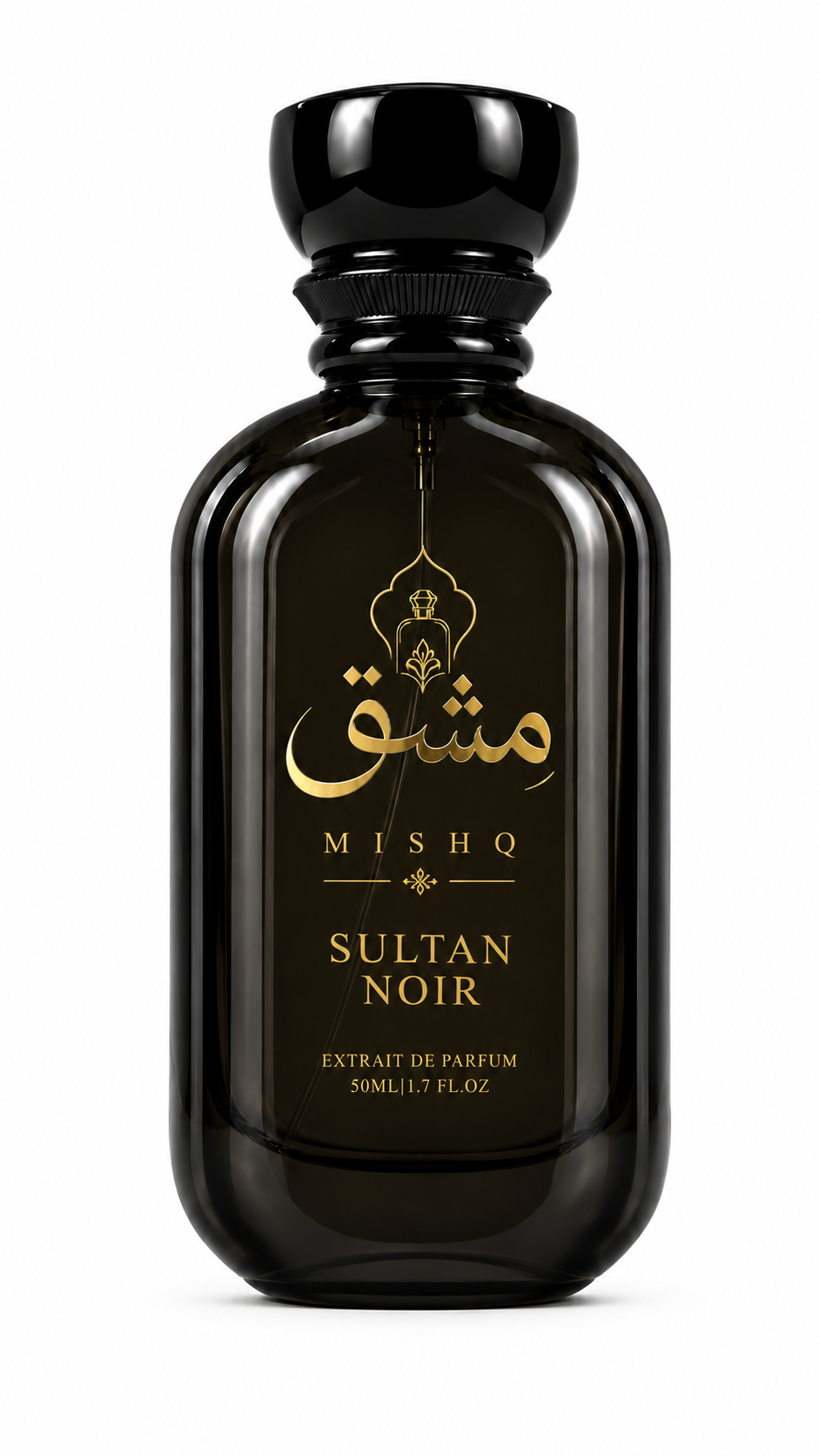 SULTAN NOIR (Inspired By Amiri Oud)